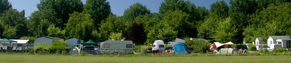 Foto: Campingplatz im Grünen - auf einer Lichtung - im Hintergrund hoher Baumbestand